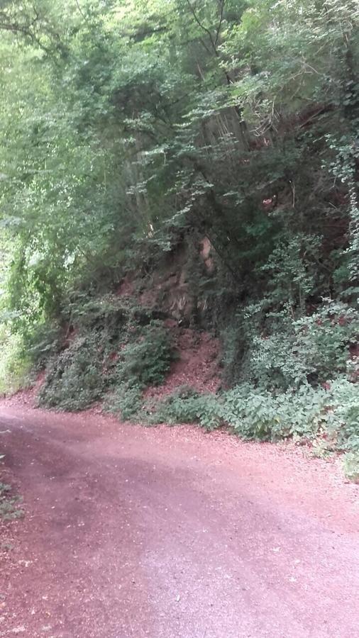 Ferienwohnungen "Am Fuerstenweg" Neuwied Εξωτερικό φωτογραφία