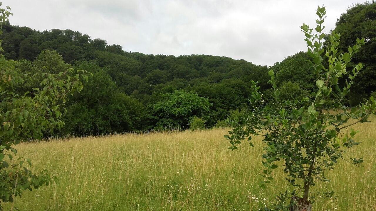 Ferienwohnungen "Am Fuerstenweg" Neuwied Εξωτερικό φωτογραφία